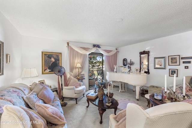 313 La Paloma Ln, Titusville, FL 32780 - carpeted living area with a textured ceiling