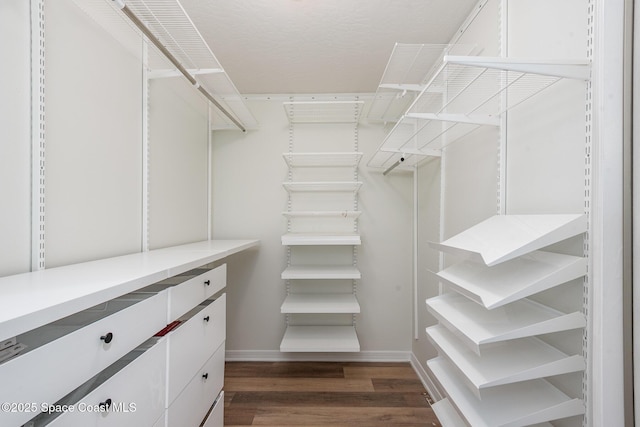 1471 Cypress Trace Dr, Melbourne, FL 32940 - walk in closet featuring dark wood finished floors