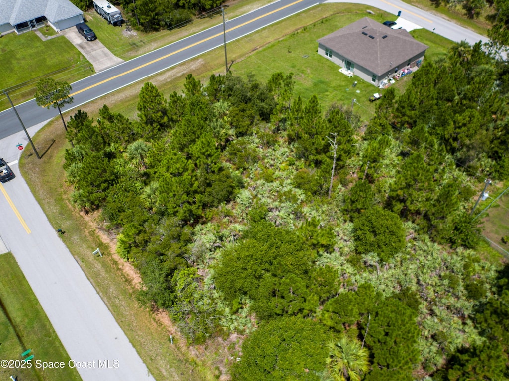 1013 Towhlen St SE, Palm Bay, FL 32909 - photo 2