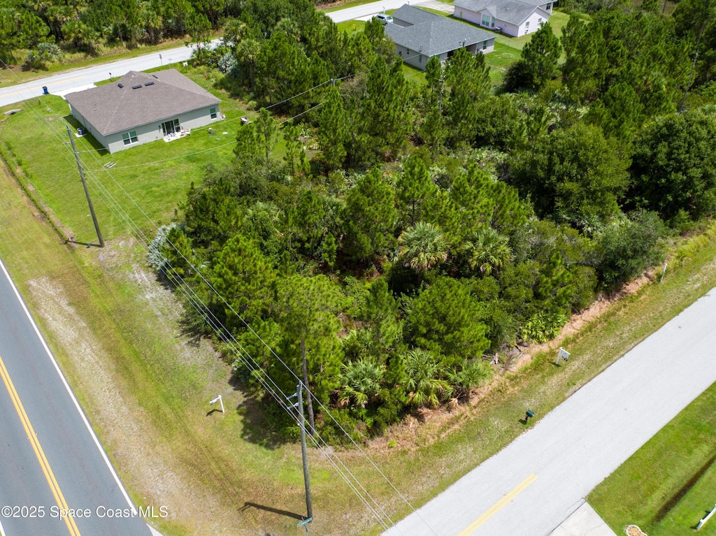 1013 Towhlen St SE, Palm Bay, FL 32909 - photo 4
