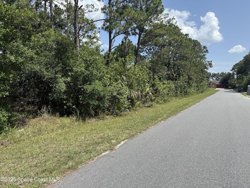 3273 San Miguel Ave SE, Palm Bay, FL 32909 - photo 1