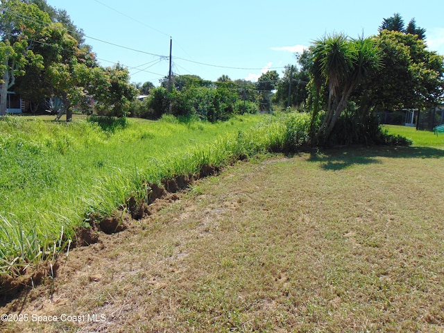 1943 Bradway St NE, Palm Bay, FL 32905 - view of green lawn