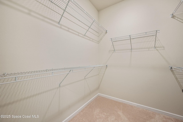2954 Dune Coast Pl, Melbourne, FL 32940 - photo 25