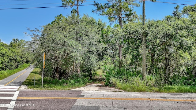 4300 Burkholm Rd, Mims, FL 32754 - photo 4