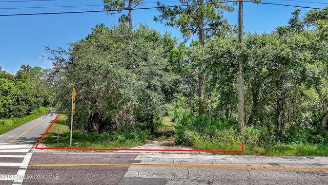 4300 Burkholm Rd, Mims, FL 32754 - photo 5