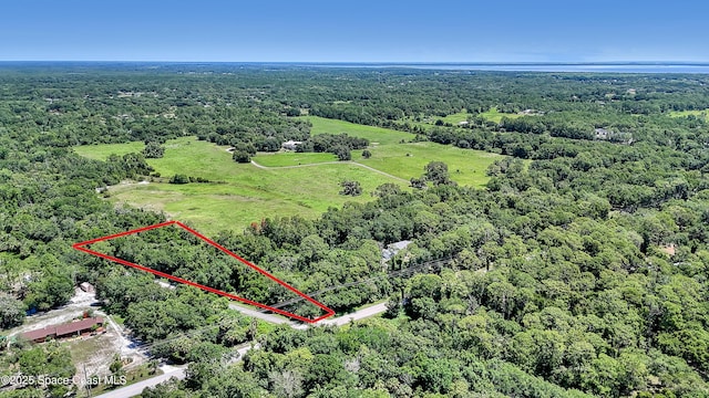 4300 Burkholm Rd, Mims, FL 32754 - photo 7