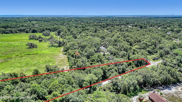 4300 Burkholm Rd, Mims, FL 32754 - photo 9