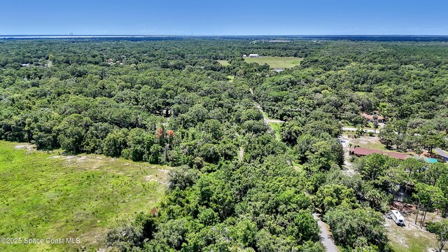 4300 Burkholm Rd, Mims, FL 32754 - photo 10