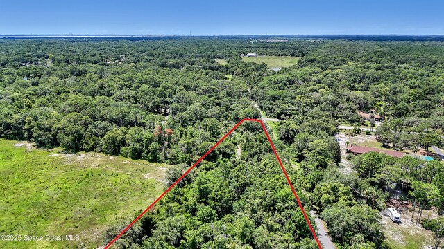4300 Burkholm Rd, Mims, FL 32754 - photo 11