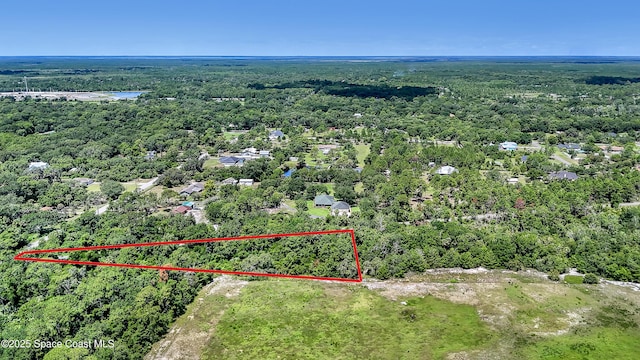 4300 Burkholm Rd, Mims, FL 32754 - photo 13