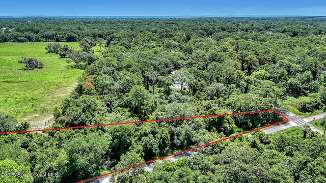 4300 Burkholm Rd, Mims, FL 32754 - photo 15