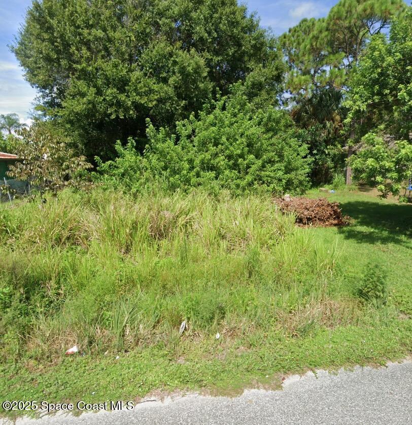 217 Lime St, Cocoa, FL 32926 - photo 1