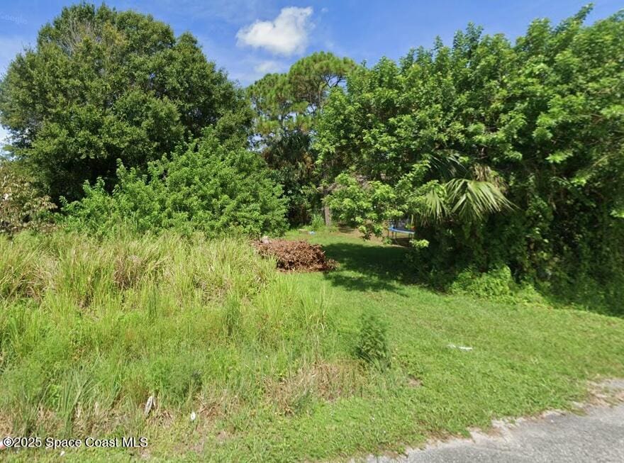 217 Lime St, Cocoa, FL 32926 - photo 2