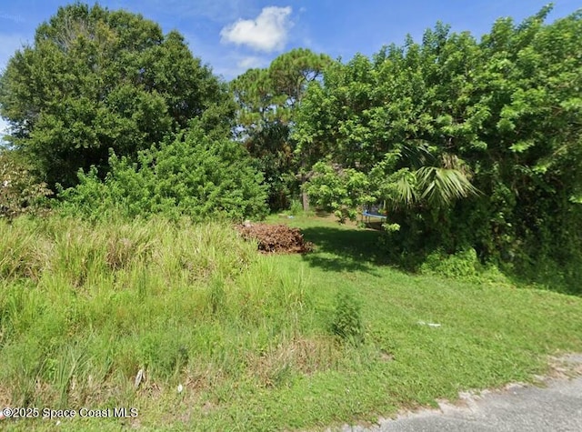 217 Lime St, Cocoa, FL 32926 - photo 2