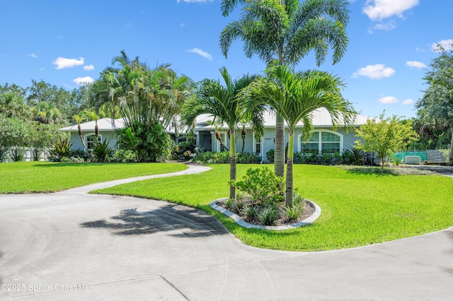 9495 Fleming Grant Rd, Sebastian, FL 32976 - view of front of house featuring a front yard and stucco siding