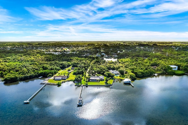3495 Spartina Ave, Merritt Island, FL 32953 - photo 6