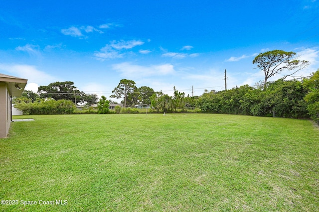 407 Heather Ave NE, Palm Bay, FL 32907 - view of grassy yard