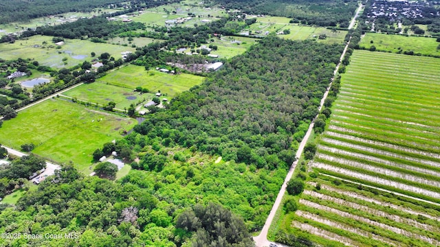 13420 101st St, Fellsmere, FL 32948 - photo 1