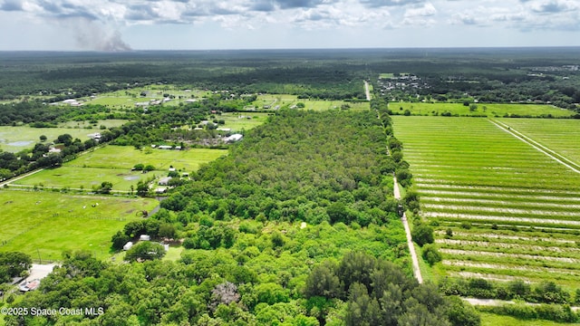 13420 101st St, Fellsmere, FL 32948 - photo 2
