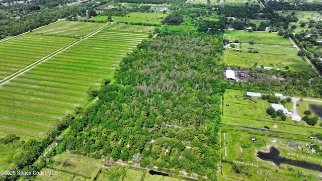 13420 101st St, Fellsmere, FL 32948 - photo 3