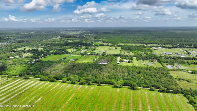 13420 101st St, Fellsmere, FL 32948 - photo 7