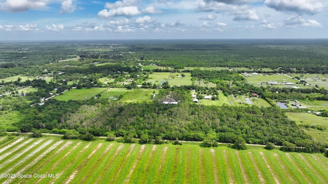 13420 101st St, Fellsmere, FL 32948 - photo 8