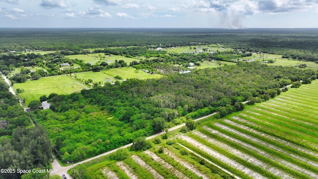 13420 101st St, Fellsmere, FL 32948 - photo 9
