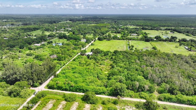 13420 101st St, Fellsmere, FL 32948 - photo 12