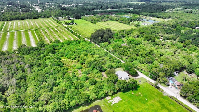 13420 101st St, Fellsmere, FL 32948 - photo 13