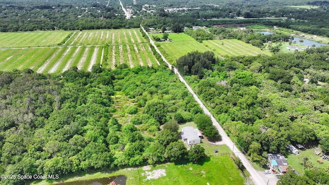 13420 101st St, Fellsmere, FL 32948 - photo 14