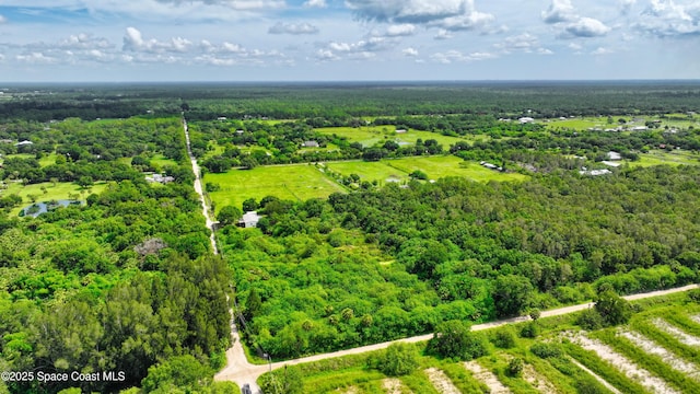 13420 101st St, Fellsmere, FL 32948 - photo 23