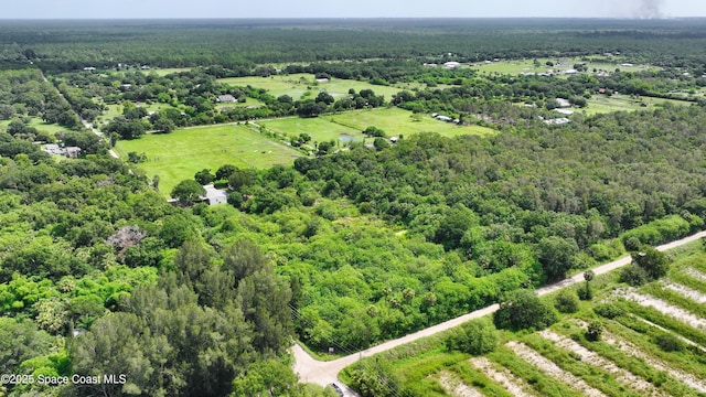 13420 101st St, Fellsmere, FL 32948 - photo 24