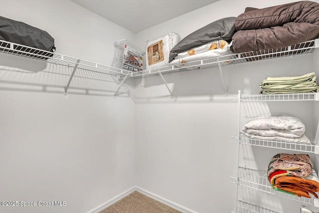 352 Gordon Rd NW, Palm Bay, FL 32907 - photo 29