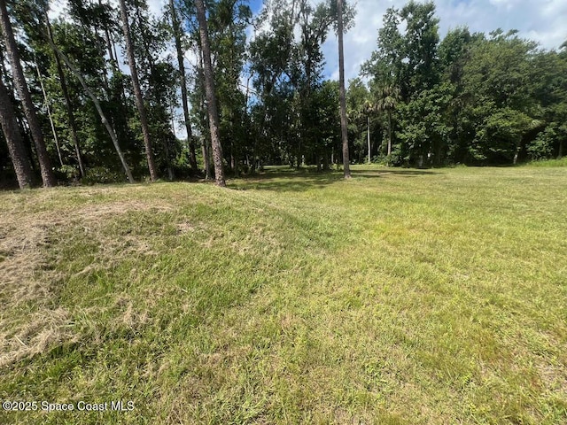 1580 N Division St, Oviedo, FL 32765 - photo 7