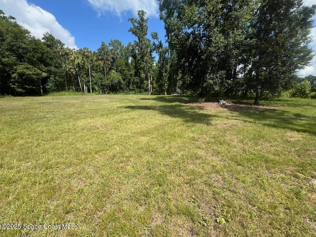 1580 N Division St, Oviedo, FL 32765 - photo 8