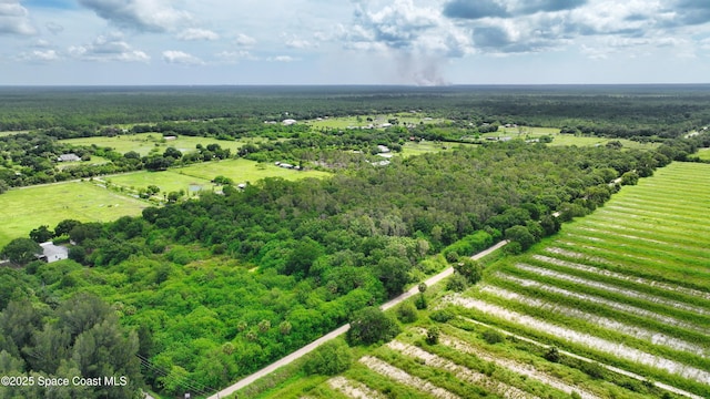 13380 101st St, Fellsmere, FL 32948 - photo 10