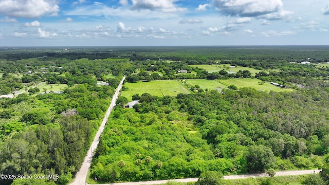 13380 101st St, Fellsmere, FL 32948 - photo 22
