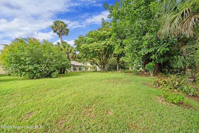 313 Evergreen St NE, Palm Bay, FL 32907 - photo 50