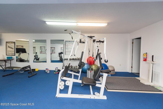 1049 Rockledge Dr Unit 507B, Rockledge, FL 32955 - view of exercise area