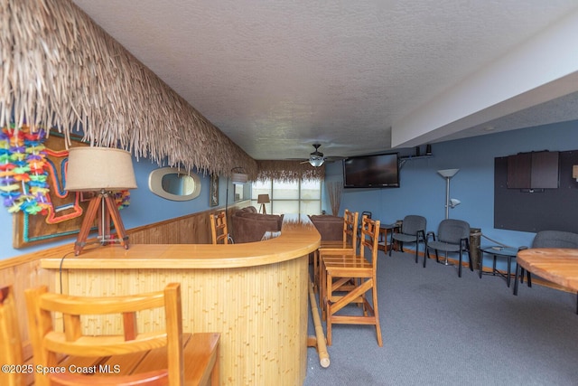 1049 Rockledge Dr Unit 507B, Rockledge, FL 32955 - indoor wet bar with a ceiling fan, wainscoting, a textured ceiling, and carpet flooring