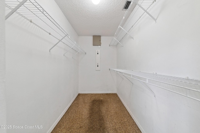 897 Hunters Creek Dr, Melbourne, FL 32904 - walk in closet with carpet