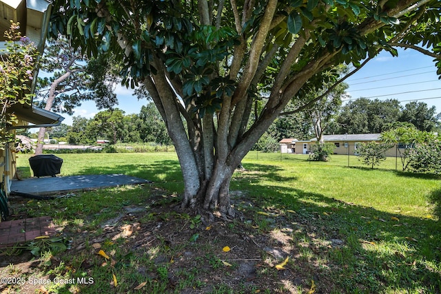 3384 Elizabeth St, West Melbourne, FL 32904 - view of yard