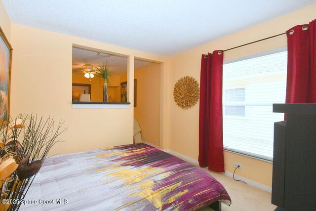 1388 Hill Ave, Melbourne, FL 32940 - photo 13