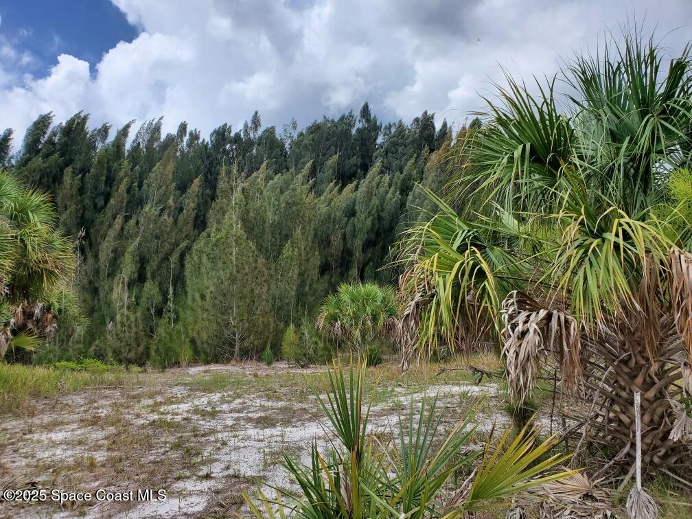 2345 Bolton Ave SW, Palm Bay, FL 32908