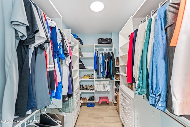 2815 S Atlantic Ave Unit 606, Cocoa Beach, FL 32931 - view of walk in closet