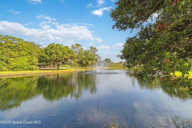 4670 Beck Lake Trl Unit 1-119, Melbourne, FL 32901 - photo 34