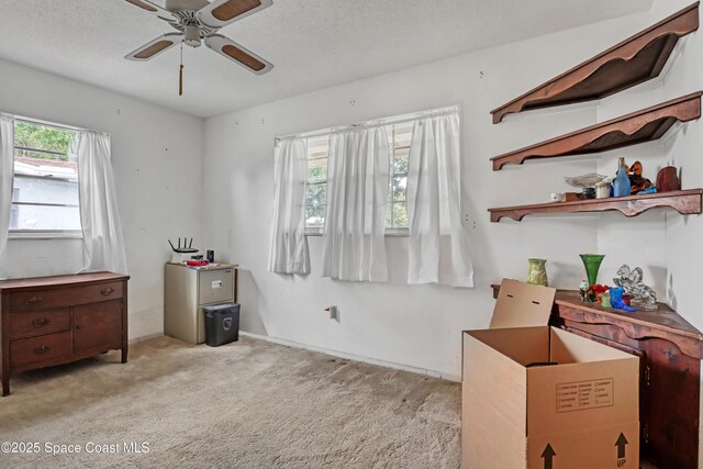 4310 Elliot Ave, Titusville, FL 32780 - photo 21