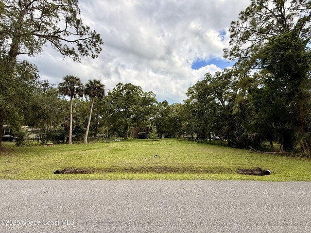 25302 Mathew St, Christmas, FL 32709 - photo 2