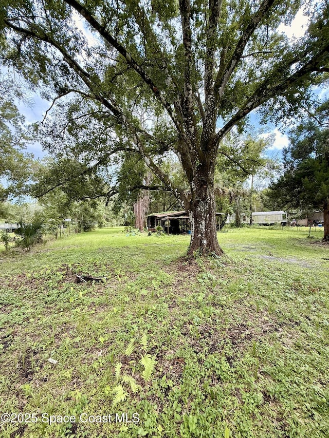 25302 Mathew St, Christmas, FL 32709 - photo 11