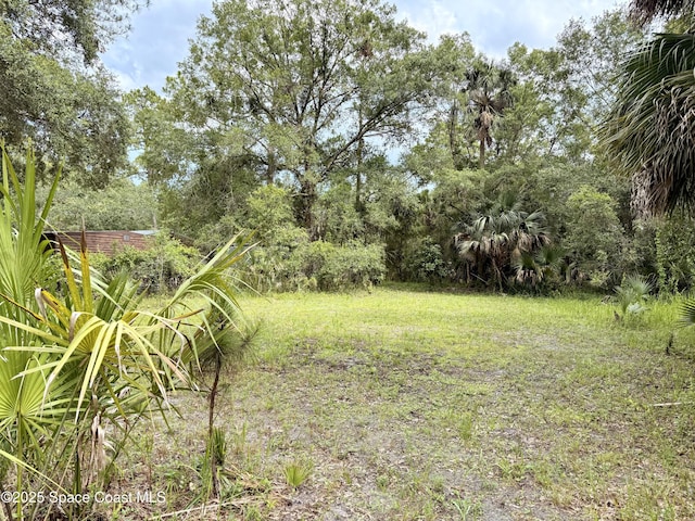 25302 Mathew St, Christmas, FL 32709 - photo 5